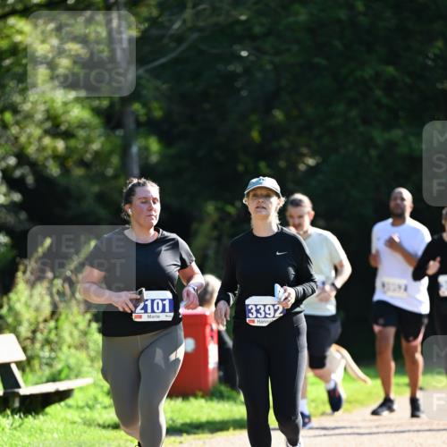 27.09.2026 - 35. Volkslauf durch das schöne Alstertal Dr. Thomas Lammeyer http://msf.ph/oto/10575950 27.09.2026 11:40:12 Laufen 2101, 3392 meine-sportfotos.de