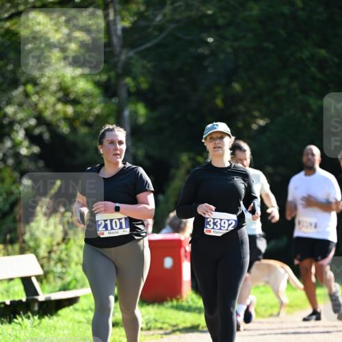 27.09.2026 - 35. Volkslauf durch das schöne Alstertal Dr. Thomas Lammeyer http://msf.ph/oto/10575952 27.09.2026 11:40:12 Laufen 2101, 3392 meine-sportfotos.de