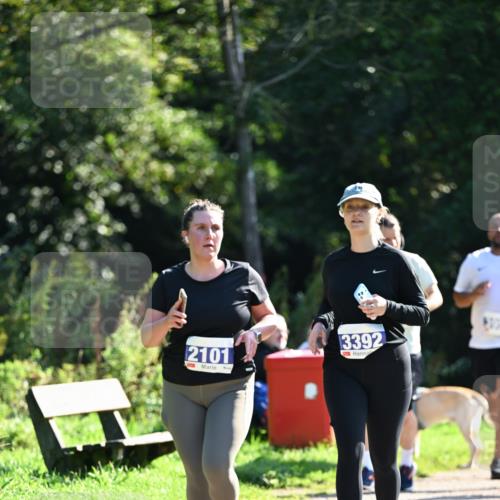 27.09.2026 - 35. Volkslauf durch das schöne Alstertal Dr. Thomas Lammeyer http://msf.ph/oto/10575956 27.09.2026 11:40:12 Laufen 2101, 3392 meine-sportfotos.de
