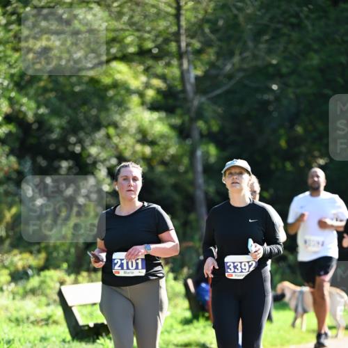 27.09.2026 - 35. Volkslauf durch das schöne Alstertal Dr. Thomas Lammeyer http://msf.ph/oto/10575963 27.09.2026 11:40:13 Laufen 2101, 3392 meine-sportfotos.de