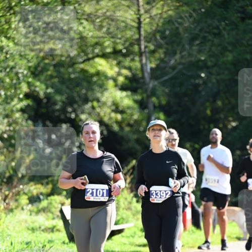 27.09.2026 - 35. Volkslauf durch das schöne Alstertal Dr. Thomas Lammeyer http://msf.ph/oto/10575967 27.09.2026 11:40:13 Laufen 2101, 3392 meine-sportfotos.de