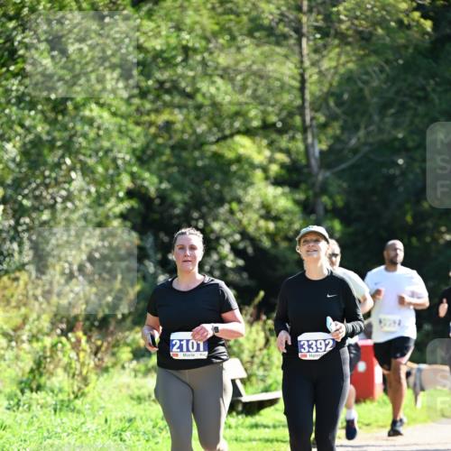 27.09.2026 - 35. Volkslauf durch das schöne Alstertal Dr. Thomas Lammeyer http://msf.ph/oto/10575971 27.09.2026 11:40:14 Laufen 2101, 3392 meine-sportfotos.de