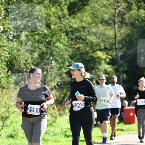 27.09.2026 - 35. Volkslauf durch das schöne Alstertal Dr. Thomas Lammeyer http://msf.ph/oto/10575982 27.09.2026 11:40:15 Laufen 2101, 3392, 2215 meine-sportfotos.de