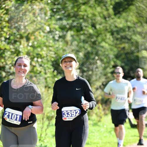 27.09.2026 - 35. Volkslauf durch das schöne Alstertal Dr. Thomas Lammeyer http://msf.ph/oto/10575999 27.09.2026 11:40:17 Laufen 2101, 3392 meine-sportfotos.de
