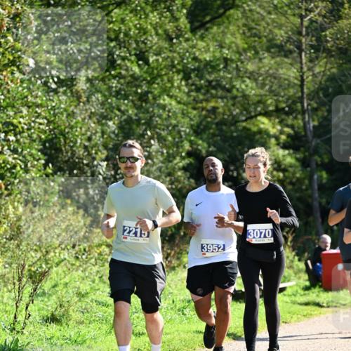 27.09.2026 - 35. Volkslauf durch das schöne Alstertal Dr. Thomas Lammeyer http://msf.ph/oto/10576002 27.09.2026 11:40:18 Laufen 2215, 3952, 3070 meine-sportfotos.de