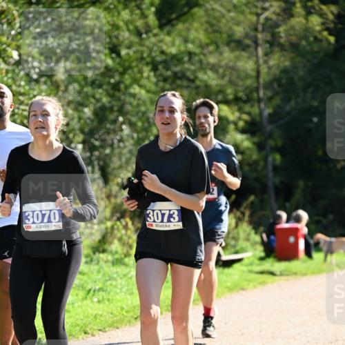 27.09.2026 - 35. Volkslauf durch das schöne Alstertal Dr. Thomas Lammeyer http://msf.ph/oto/10576016 27.09.2026 11:40:20 Laufen 3070, 3073 meine-sportfotos.de