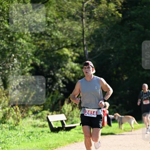 27.09.2026 - 35. Volkslauf durch das schöne Alstertal Dr. Thomas Lammeyer http://msf.ph/oto/10576034 27.09.2026 11:40:30 Laufen 2414 meine-sportfotos.de
