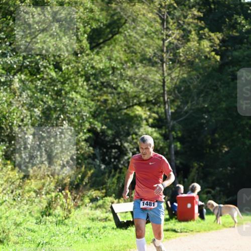 27.09.2026 - 35. Volkslauf durch das schöne Alstertal Dr. Thomas Lammeyer http://msf.ph/oto/10576086 27.09.2026 11:40:41 Laufen 1481 meine-sportfotos.de