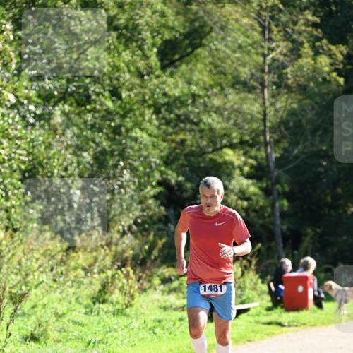 27.09.2026 - 35. Volkslauf durch das schöne Alstertal Dr. Thomas Lammeyer http://msf.ph/oto/10576092 27.09.2026 11:40:41 Laufen 1481 meine-sportfotos.de