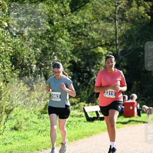 27.09.2026 - 35. Volkslauf durch das schöne Alstertal Dr. Thomas Lammeyer http://msf.ph/oto/10576109 27.09.2026 11:40:52 Laufen 3962, 3319 meine-sportfotos.de