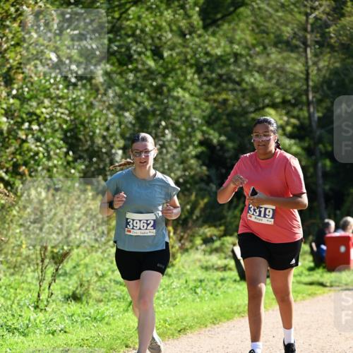 27.09.2026 - 35. Volkslauf durch das schöne Alstertal Dr. Thomas Lammeyer http://msf.ph/oto/10576112 27.09.2026 11:40:53 Laufen 3962, 3319 meine-sportfotos.de