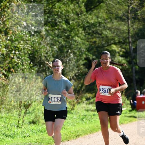 27.09.2026 - 35. Volkslauf durch das schöne Alstertal Dr. Thomas Lammeyer http://msf.ph/oto/10576114 27.09.2026 11:40:53 Laufen 3962, 331 meine-sportfotos.de