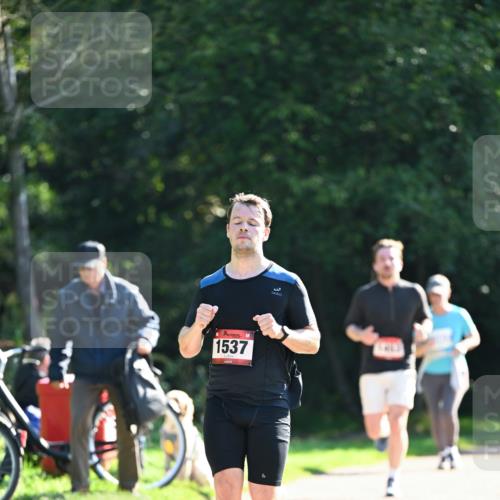 27.09.2026 - 35. Volkslauf durch das schöne Alstertal Dr. Thomas Lammeyer http://msf.ph/oto/10576140 27.09.2026 11:41:23 Laufen 1537 meine-sportfotos.de
