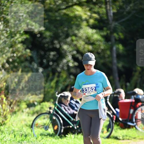 27.09.2026 - 35. Volkslauf durch das schöne Alstertal Dr. Thomas Lammeyer http://msf.ph/oto/10576173 27.09.2026 11:41:31 Laufen 3362 meine-sportfotos.de