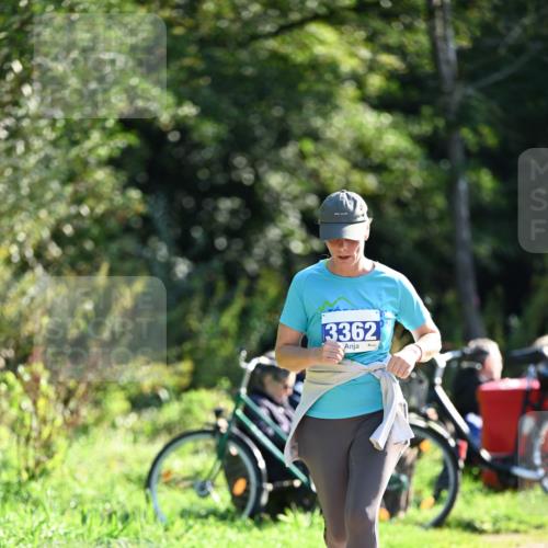 27.09.2026 - 35. Volkslauf durch das schöne Alstertal Dr. Thomas Lammeyer http://msf.ph/oto/10576177 27.09.2026 11:41:32 Laufen 3362 meine-sportfotos.de