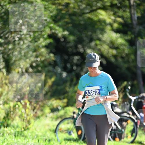 27.09.2026 - 35. Volkslauf durch das schöne Alstertal Dr. Thomas Lammeyer http://msf.ph/oto/10576181 27.09.2026 11:41:32 Laufen 3362 meine-sportfotos.de