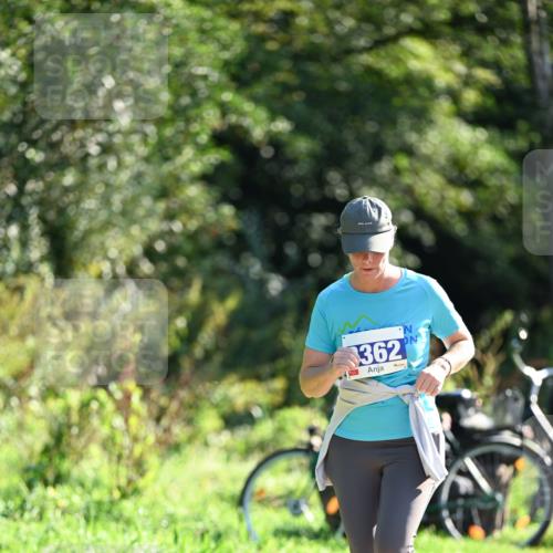 27.09.2026 - 35. Volkslauf durch das schöne Alstertal Dr. Thomas Lammeyer http://msf.ph/oto/10576183 27.09.2026 11:41:32 Laufen 362 meine-sportfotos.de