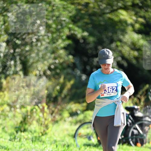 27.09.2026 - 35. Volkslauf durch das schöne Alstertal Dr. Thomas Lammeyer http://msf.ph/oto/10576184 27.09.2026 11:41:32 Laufen 362 meine-sportfotos.de