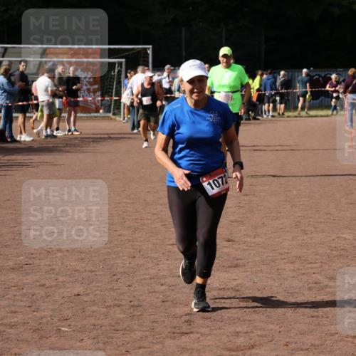 27.09.2026 - 35. Volkslauf durch das schöne Alstertal Strokosch-Dieckow http://msf.ph/oto/10576278 27.09.2026 12:30:39 Ziel 1072, 1647, 2080 meine-sportfotos.de