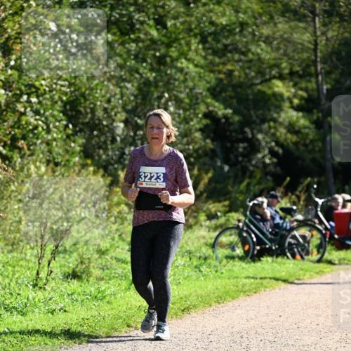 27.09.2026 - 35. Volkslauf durch das schöne Alstertal Dr. Thomas Lammeyer http://msf.ph/oto/10576282 27.09.2026 11:42:58 Laufen 3223 meine-sportfotos.de