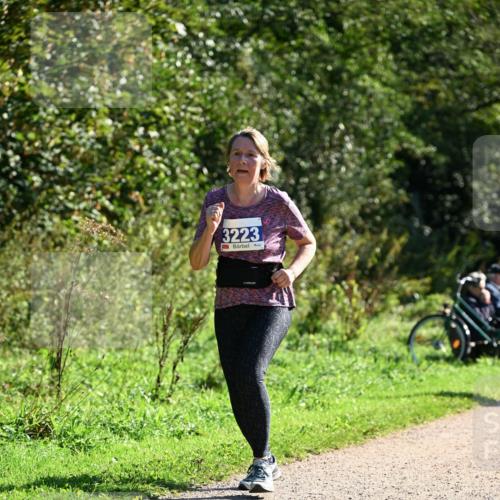 27.09.2026 - 35. Volkslauf durch das schöne Alstertal Dr. Thomas Lammeyer http://msf.ph/oto/10576287 27.09.2026 11:42:58 Laufen 3223 meine-sportfotos.de