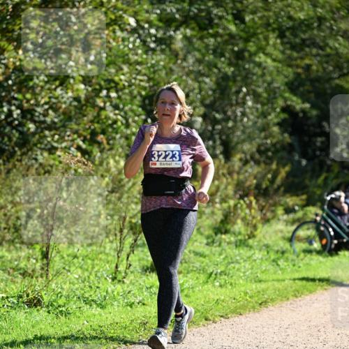 27.09.2026 - 35. Volkslauf durch das schöne Alstertal Dr. Thomas Lammeyer http://msf.ph/oto/10576289 27.09.2026 11:42:58 Laufen 3223 meine-sportfotos.de