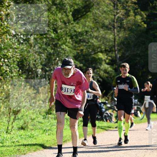 27.09.2026 - 35. Volkslauf durch das schöne Alstertal Dr. Thomas Lammeyer http://msf.ph/oto/10576304 27.09.2026 11:43:15 Laufen 3193, 175 meine-sportfotos.de