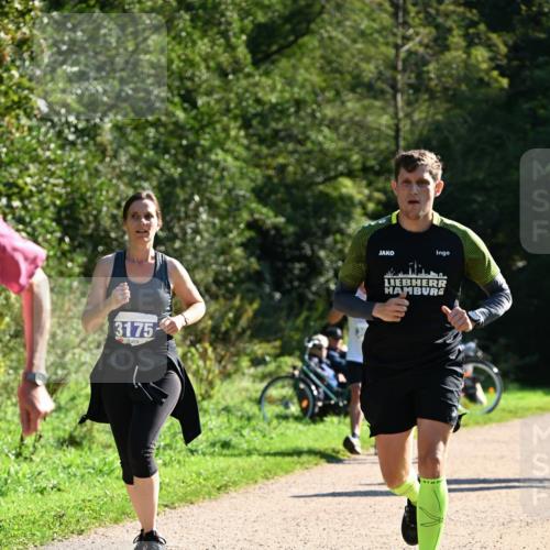 27.09.2026 - 35. Volkslauf durch das schöne Alstertal Dr. Thomas Lammeyer http://msf.ph/oto/10576320 27.09.2026 11:43:16 Laufen 3175 meine-sportfotos.de