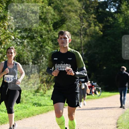 27.09.2026 - 35. Volkslauf durch das schöne Alstertal Dr. Thomas Lammeyer http://msf.ph/oto/10576322 27.09.2026 11:43:17 Laufen 3175 meine-sportfotos.de