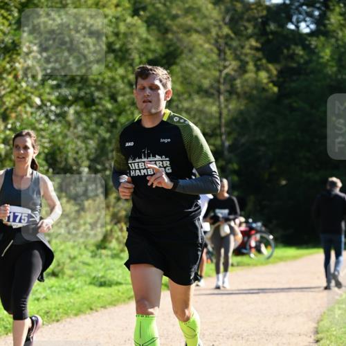 27.09.2026 - 35. Volkslauf durch das schöne Alstertal Dr. Thomas Lammeyer http://msf.ph/oto/10576323 27.09.2026 11:43:17 Laufen 175 meine-sportfotos.de