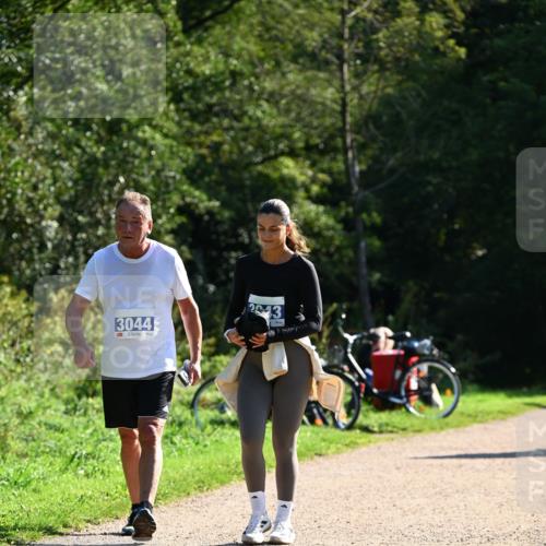 27.09.2026 - 35. Volkslauf durch das schöne Alstertal Dr. Thomas Lammeyer http://msf.ph/oto/10576327 27.09.2026 11:43:21 Laufen 3044, 13 meine-sportfotos.de