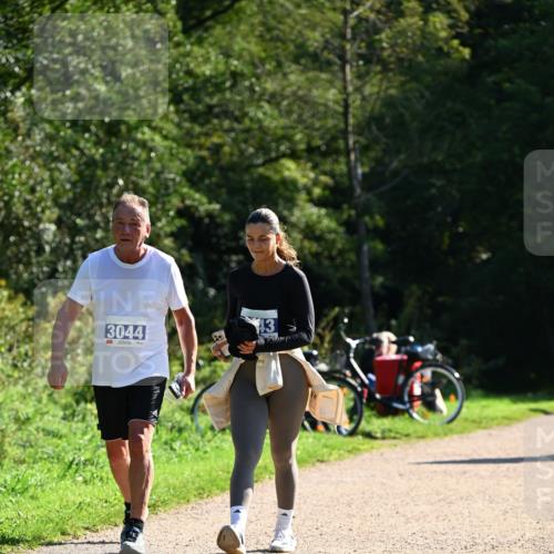 27.09.2026 - 35. Volkslauf durch das schöne Alstertal Dr. Thomas Lammeyer http://msf.ph/oto/10576328 27.09.2026 11:43:21 Laufen 3044, 89, 43 meine-sportfotos.de