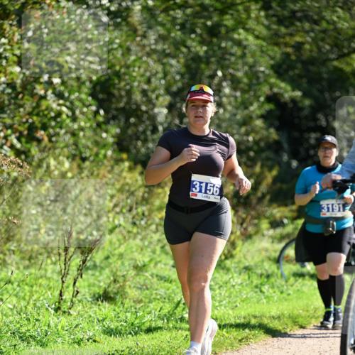 27.09.2026 - 35. Volkslauf durch das schöne Alstertal Dr. Thomas Lammeyer http://msf.ph/oto/10576338 27.09.2026 11:43:41 Laufen 3156, 3191 meine-sportfotos.de