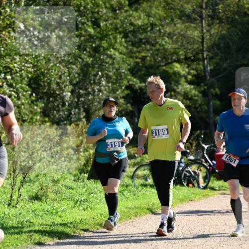 27.09.2026 - 35. Volkslauf durch das schöne Alstertal Dr. Thomas Lammeyer http://msf.ph/oto/10576348 27.09.2026 11:43:42 Laufen 3191, 3189, 1501 meine-sportfotos.de