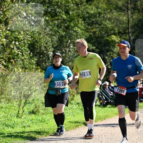 27.09.2026 - 35. Volkslauf durch das schöne Alstertal Dr. Thomas Lammeyer http://msf.ph/oto/10576354 27.09.2026 11:43:43 Laufen 3189, 3191, 1, 1501 meine-sportfotos.de