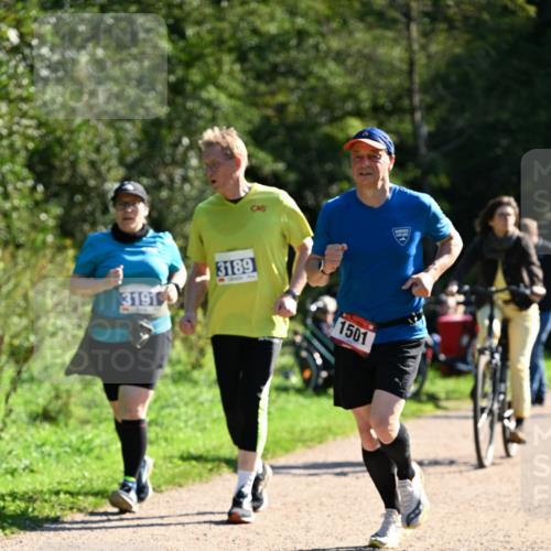 27.09.2026 - 35. Volkslauf durch das schöne Alstertal Dr. Thomas Lammeyer http://msf.ph/oto/10576356 27.09.2026 11:43:43 Laufen 3191, 3189, 1501 meine-sportfotos.de