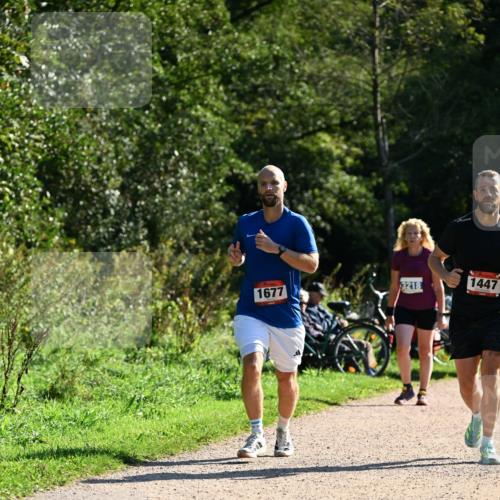 27.09.2026 - 35. Volkslauf durch das schöne Alstertal Dr. Thomas Lammeyer http://msf.ph/oto/10576385 27.09.2026 11:43:57 Laufen 1677, 3218, 1447 meine-sportfotos.de