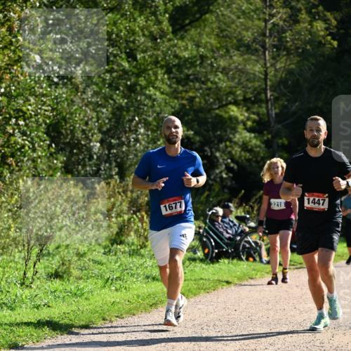 27.09.2026 - 35. Volkslauf durch das schöne Alstertal Dr. Thomas Lammeyer http://msf.ph/oto/10576391 27.09.2026 11:43:58 Laufen 1677, 3218, 1447 meine-sportfotos.de