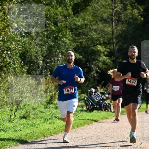 27.09.2026 - 35. Volkslauf durch das schöne Alstertal Dr. Thomas Lammeyer http://msf.ph/oto/10576392 27.09.2026 11:43:58 Laufen 1677, 3218, 1447 meine-sportfotos.de