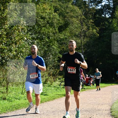 27.09.2026 - 35. Volkslauf durch das schöne Alstertal Dr. Thomas Lammeyer http://msf.ph/oto/10576396 27.09.2026 11:43:59 Laufen 1447, 1677 meine-sportfotos.de