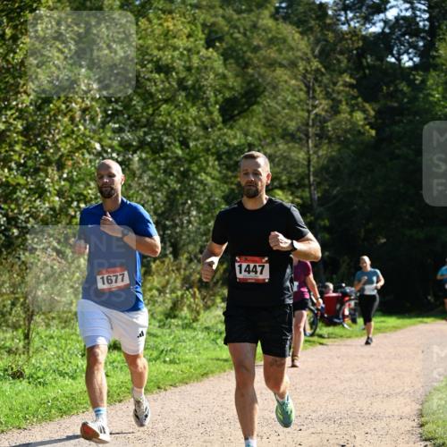 27.09.2026 - 35. Volkslauf durch das schöne Alstertal Dr. Thomas Lammeyer http://msf.ph/oto/10576398 27.09.2026 11:43:59 Laufen 1677, 1447 meine-sportfotos.de