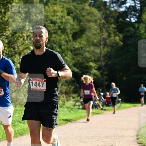 27.09.2026 - 35. Volkslauf durch das schöne Alstertal Dr. Thomas Lammeyer http://msf.ph/oto/10576404 27.09.2026 11:44:00 Laufen 1447 meine-sportfotos.de
