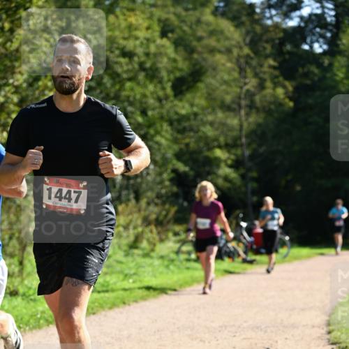27.09.2026 - 35. Volkslauf durch das schöne Alstertal Dr. Thomas Lammeyer http://msf.ph/oto/10576407 27.09.2026 11:44:00 Laufen 1447 meine-sportfotos.de