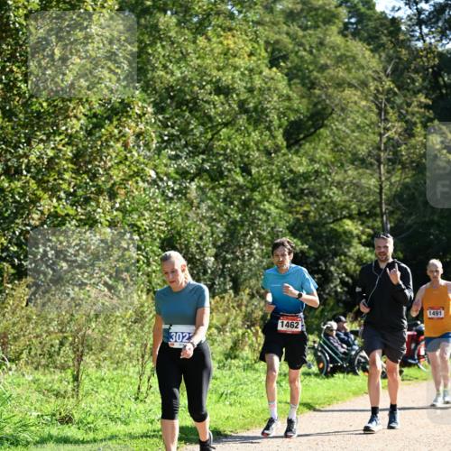 27.09.2026 - 35. Volkslauf durch das schöne Alstertal Dr. Thomas Lammeyer http://msf.ph/oto/10576414 27.09.2026 11:44:07 Laufen 302, 1462, 1491 meine-sportfotos.de