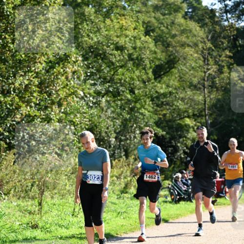 27.09.2026 - 35. Volkslauf durch das schöne Alstertal Dr. Thomas Lammeyer http://msf.ph/oto/10576415 27.09.2026 11:44:07 Laufen 1462, 3023, 1491 meine-sportfotos.de