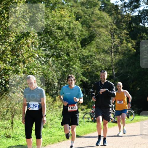 27.09.2026 - 35. Volkslauf durch das schöne Alstertal Dr. Thomas Lammeyer http://msf.ph/oto/10576419 27.09.2026 11:44:07 Laufen 3023, 1462, 1491 meine-sportfotos.de