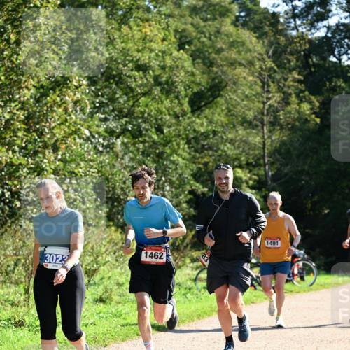 27.09.2026 - 35. Volkslauf durch das schöne Alstertal Dr. Thomas Lammeyer http://msf.ph/oto/10576423 27.09.2026 11:44:08 Laufen 3023, 1462, 83, 1491 meine-sportfotos.de