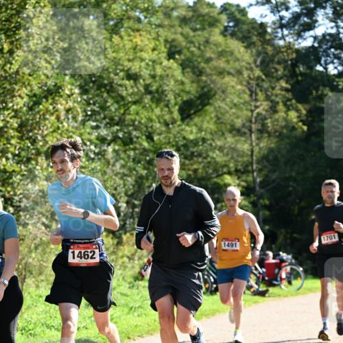 27.09.2026 - 35. Volkslauf durch das schöne Alstertal Dr. Thomas Lammeyer http://msf.ph/oto/10576428 27.09.2026 11:44:08 Laufen 1462, 1491, 1701 meine-sportfotos.de