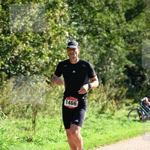 27.09.2026 - 35. Volkslauf durch das schöne Alstertal Dr. Thomas Lammeyer http://msf.ph/oto/10576461 27.09.2026 11:44:18 Laufen 1466 meine-sportfotos.de