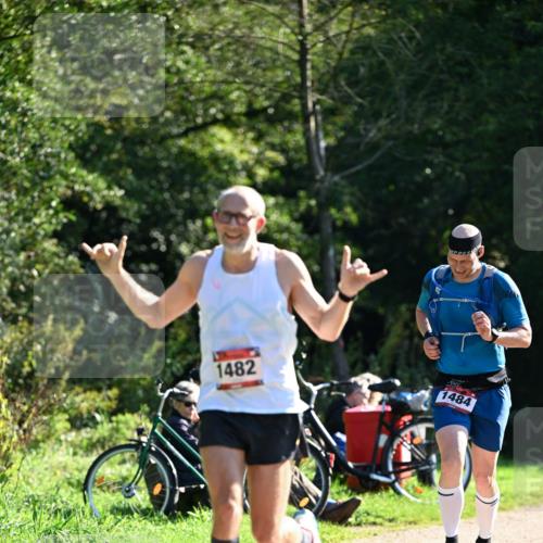 27.09.2026 - 35. Volkslauf durch das schöne Alstertal Dr. Thomas Lammeyer http://msf.ph/oto/10576472 27.09.2026 11:44:32 Laufen 1482, 1484 meine-sportfotos.de